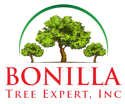 Bonilla Tree Experts